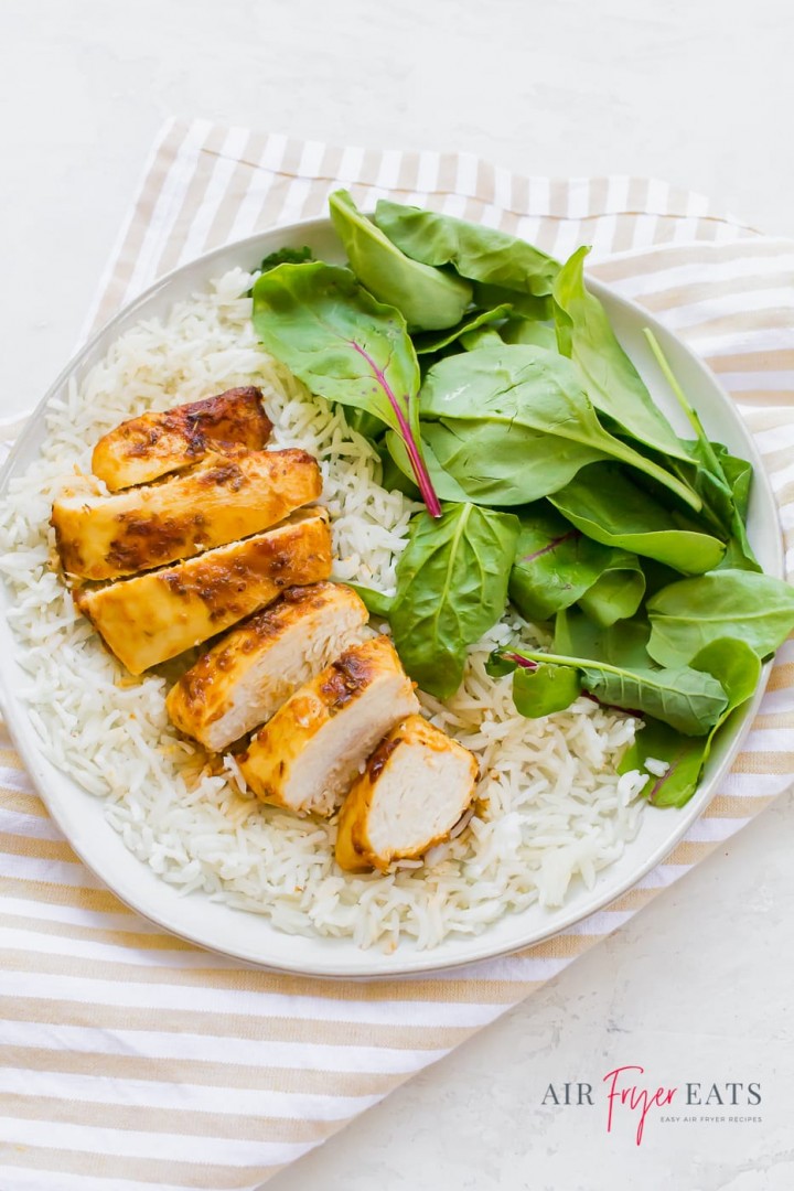 ninja foodi 2 basket air fryer chicken breast recipes