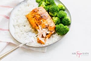 salmon on a round plate with rice and broccoli