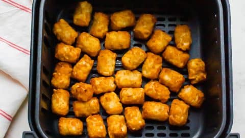 Ninja Foodi Air Fryer Tater Tots - Beyer Eats and Drinks