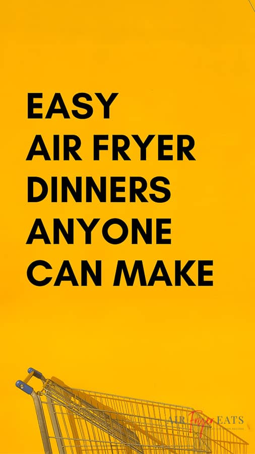 Easy Air Fryer Dinners Anyone Can Make - Air Fryer Eats