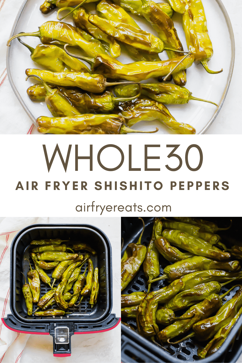 Air Fryer Shishito Peppers are a quick and delicious air fryer recipe. These blistered peppers are mild and make the perfect appetizer. You are going to fall in love with how easy this shishito pepper recipe is to make. #shishitopeppers #airfryerrecipes #airfryerpeppers via @vegetarianmamma