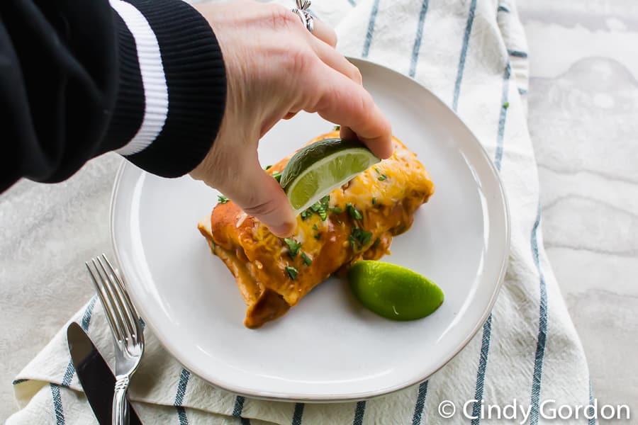 Air Fryer Enchiladas