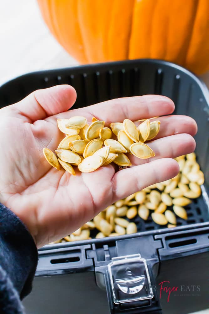 vertical picture of a hand holding cooked pumpkin seeds over an air fryer basket and an orange pumpkin in the top right