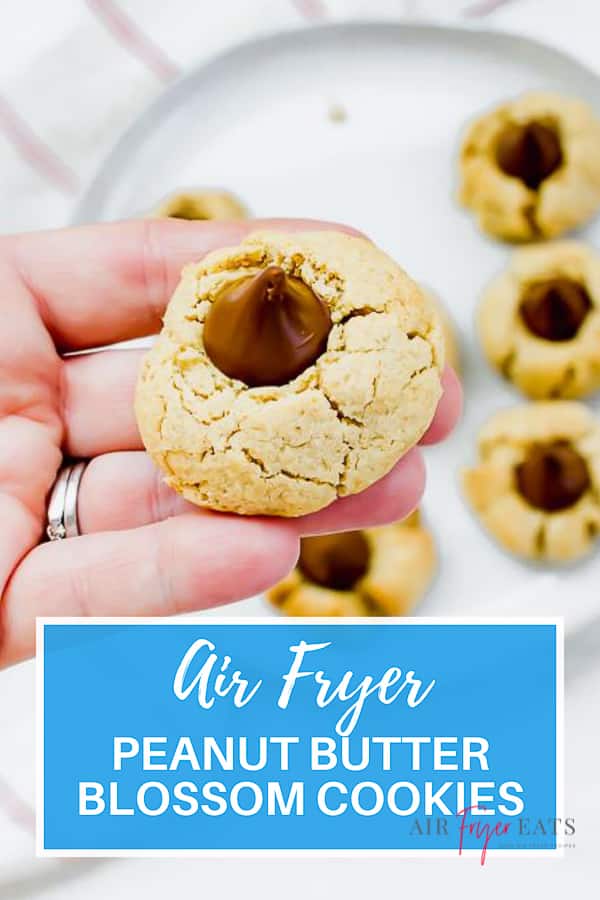 Air Fryer Peanut Butter Blossom Cookies are a delicious traditional cookie that is perfect for a holiday or for any time of year. Make these cookies in the air fryer in 7 minutes!  via @vegetarianmamma