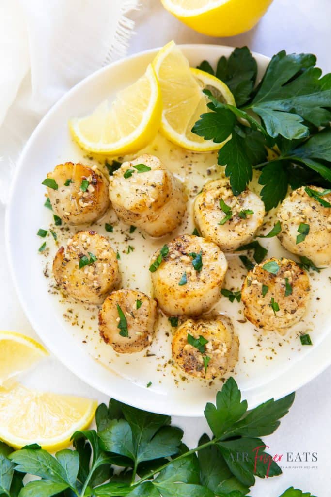 a white plate of scallops garnished with lemons and parsley