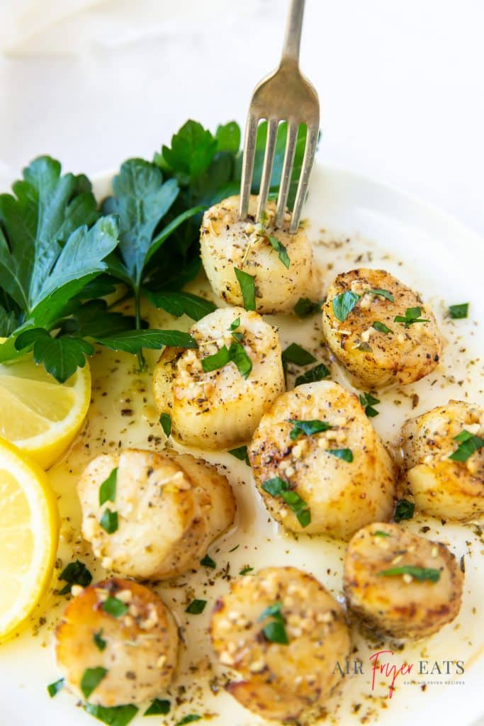 closeup view of a plate of scallops topped with garlic and herbs, being eaten with a fork.