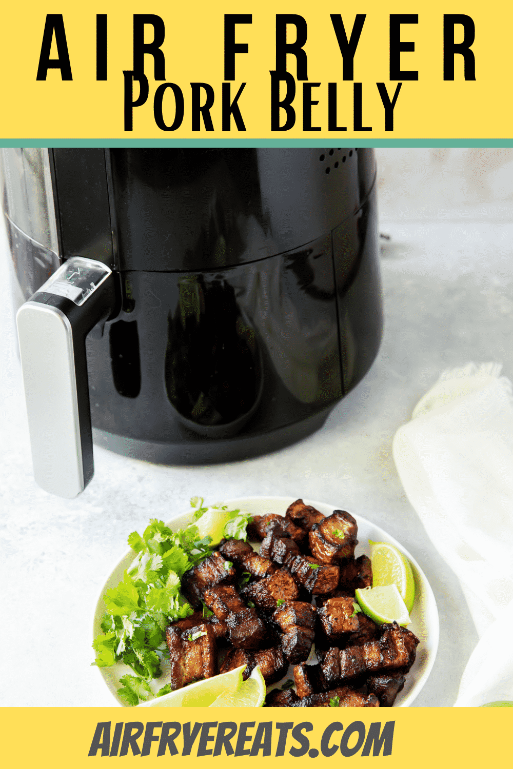 These little bites of Air Fryer Pork Belly are crispy, salty, and absolutely delicious. They will melt in your mouth with amazing flavor and texture. #pork #airfryer #porkbelly via @vegetarianmamma