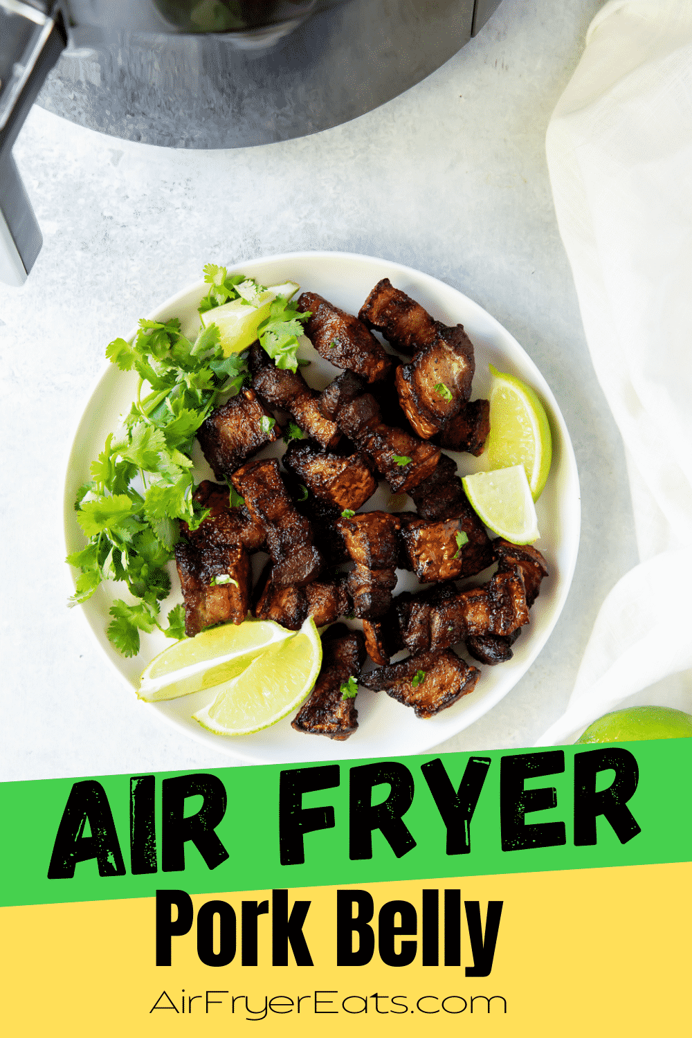 These little bites of Air Fryer Pork Belly are crispy, salty, and absolutely delicious. They will melt in your mouth with amazing flavor and texture. #pork #airfryer #porkbelly via @vegetarianmamma