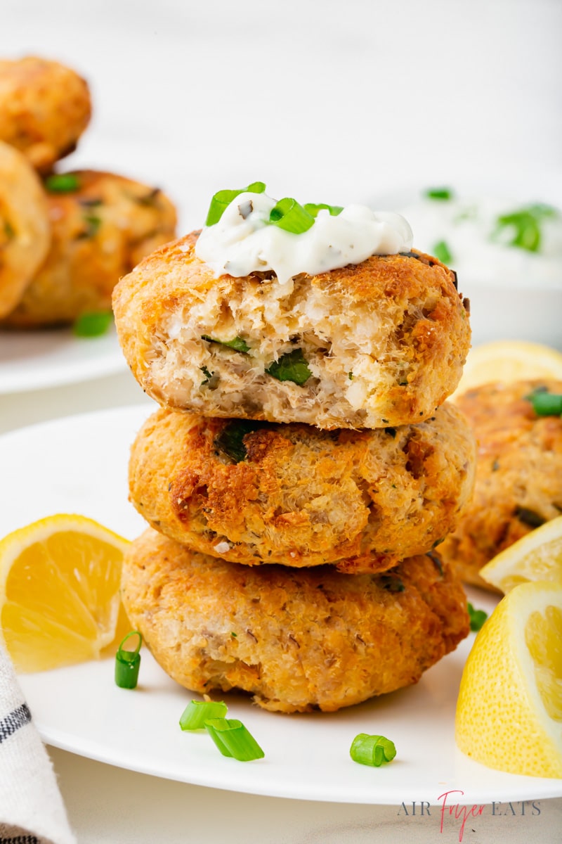 Air Fryer Salmon Patties