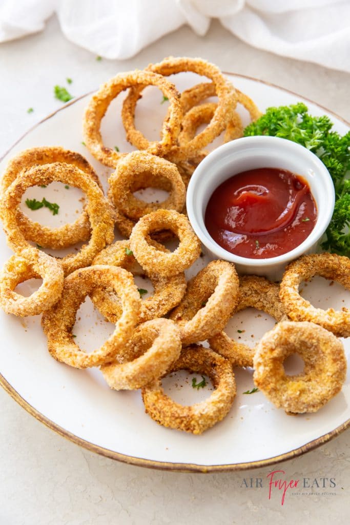 a white plate of crispy onion rings with a small cup of ketchup. Garnished with a piece of green leaf lettuce.
