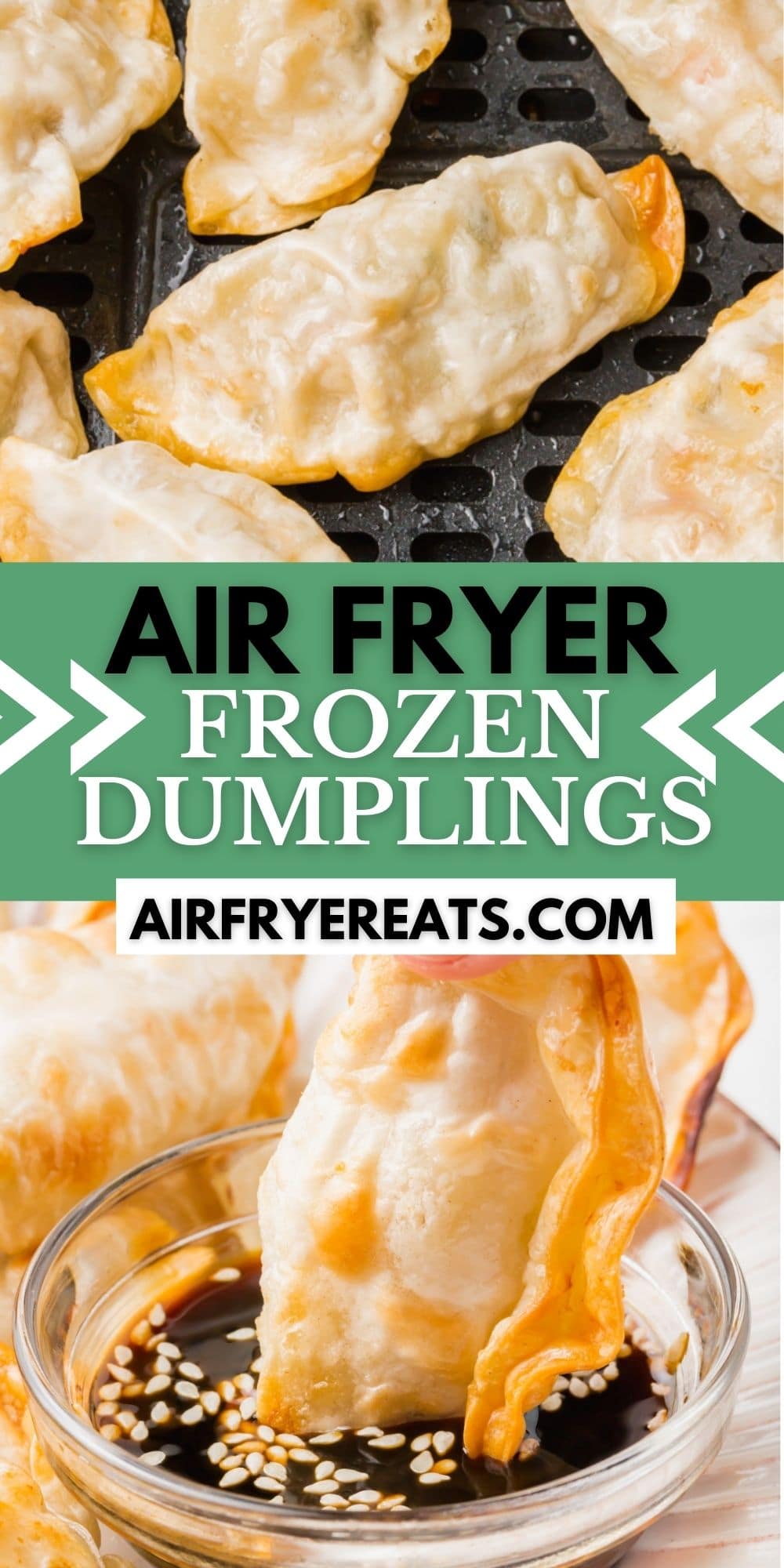 air fryer frozen dumplings pin image with text overlay