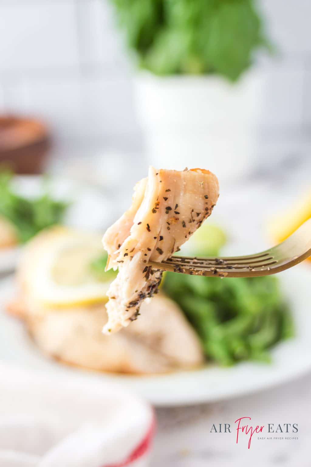 Ninja Foodi Chicken Breast