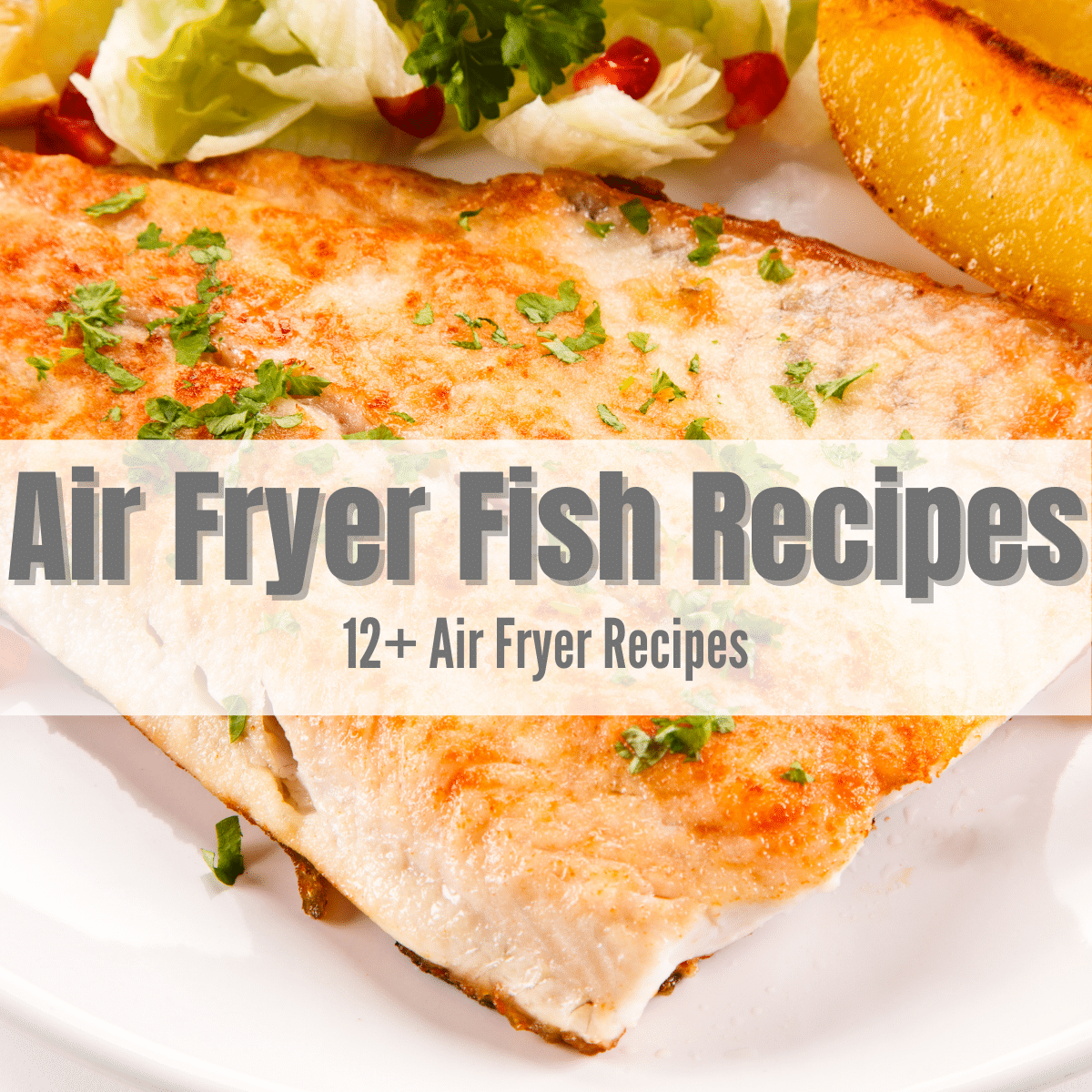 picture of cooked fish with some vegetables and text overlay: air fryer fish recipes