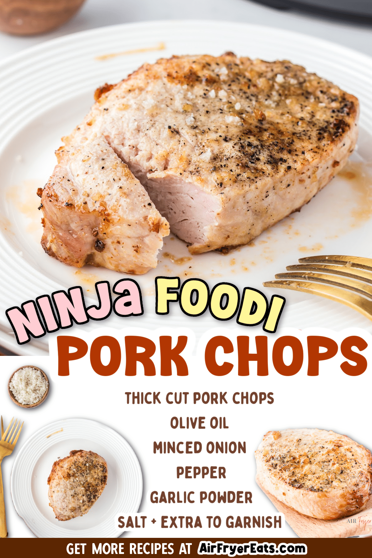 Ninja Foodi Air Fryer Pork Chops [+VIDEO] - Dr. Davinah's Eats