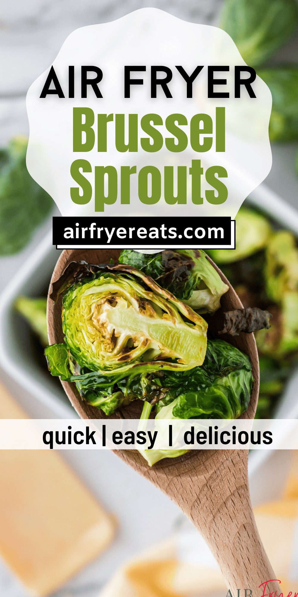 Ninja Foodi Air Fryer Chicken Recipes-Little Sprouts Learning